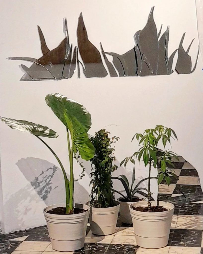 Reflejo vegetal, SOMA